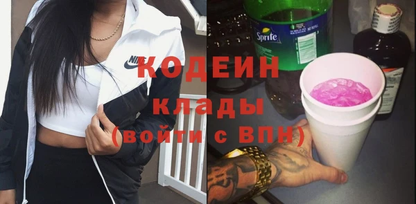 первитин Бикин