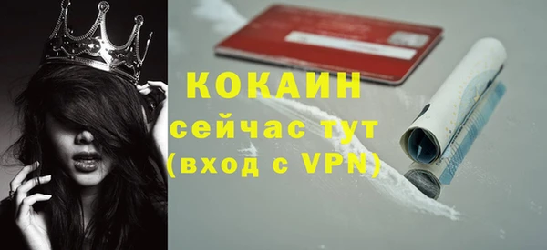 apvp Михайлов