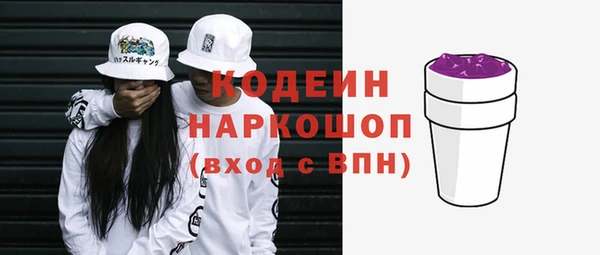 хмурый Мегион